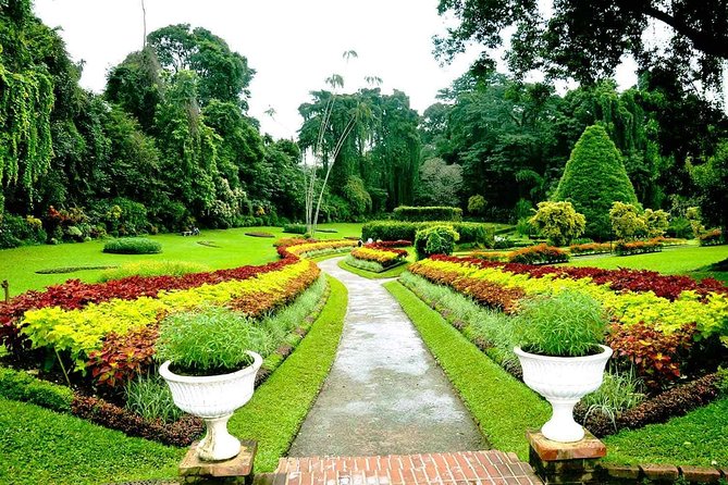 Glimpse of Sri Lanka 3 Nights 7